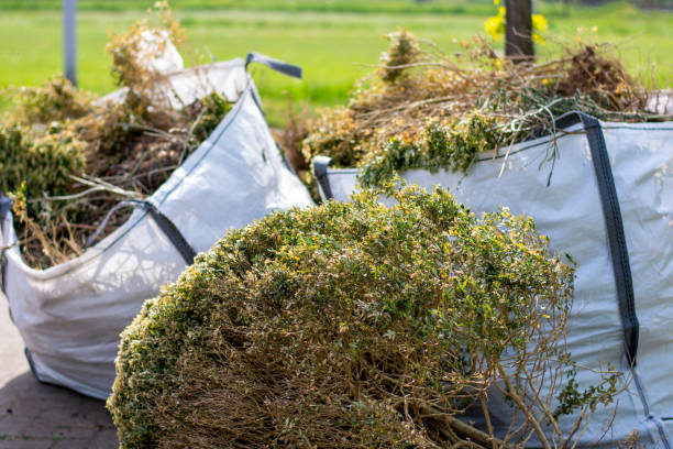 Best Furniture Removal  in Kachina Village, AZ